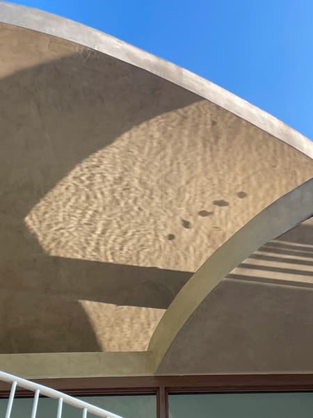 Buzzy Sunny· Feixue Pavilion